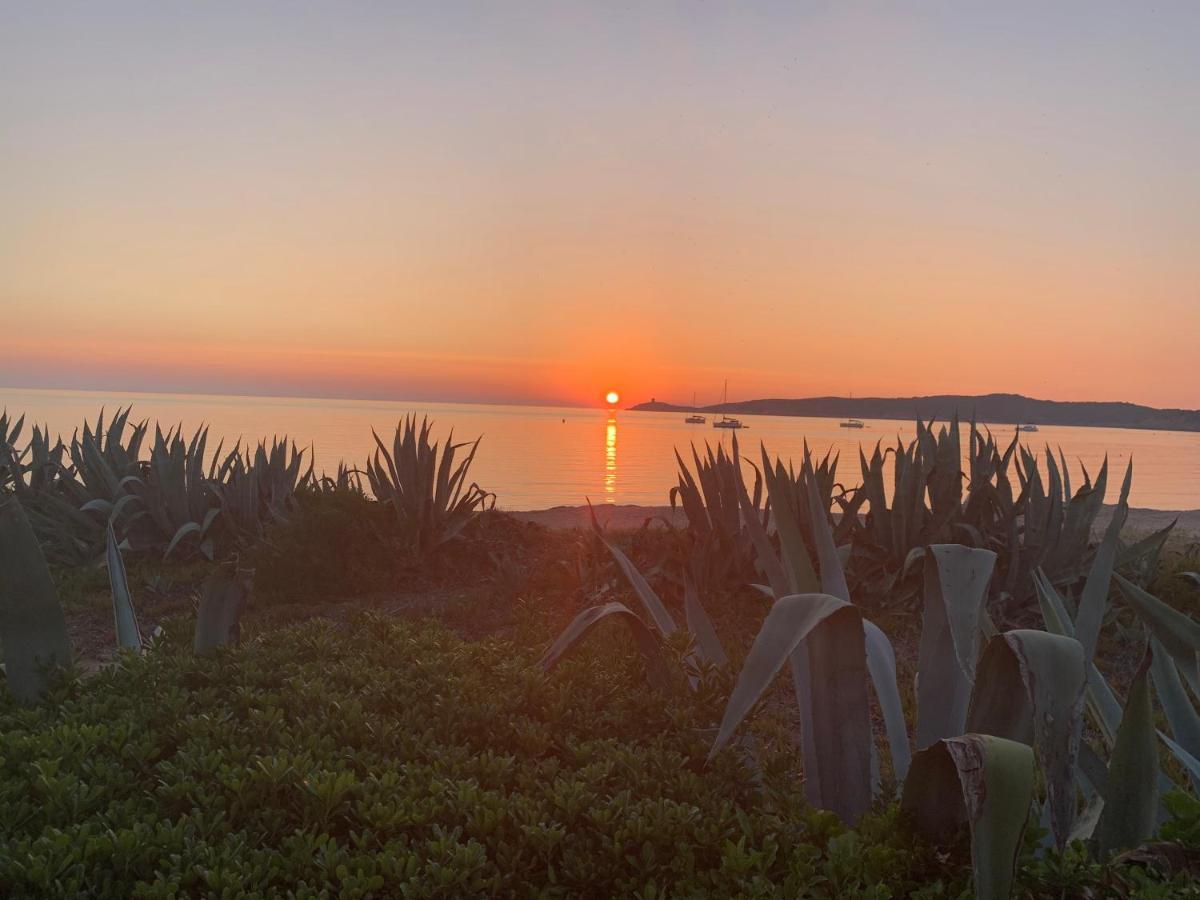 Hotel Thalassa Cargèse Εξωτερικό φωτογραφία