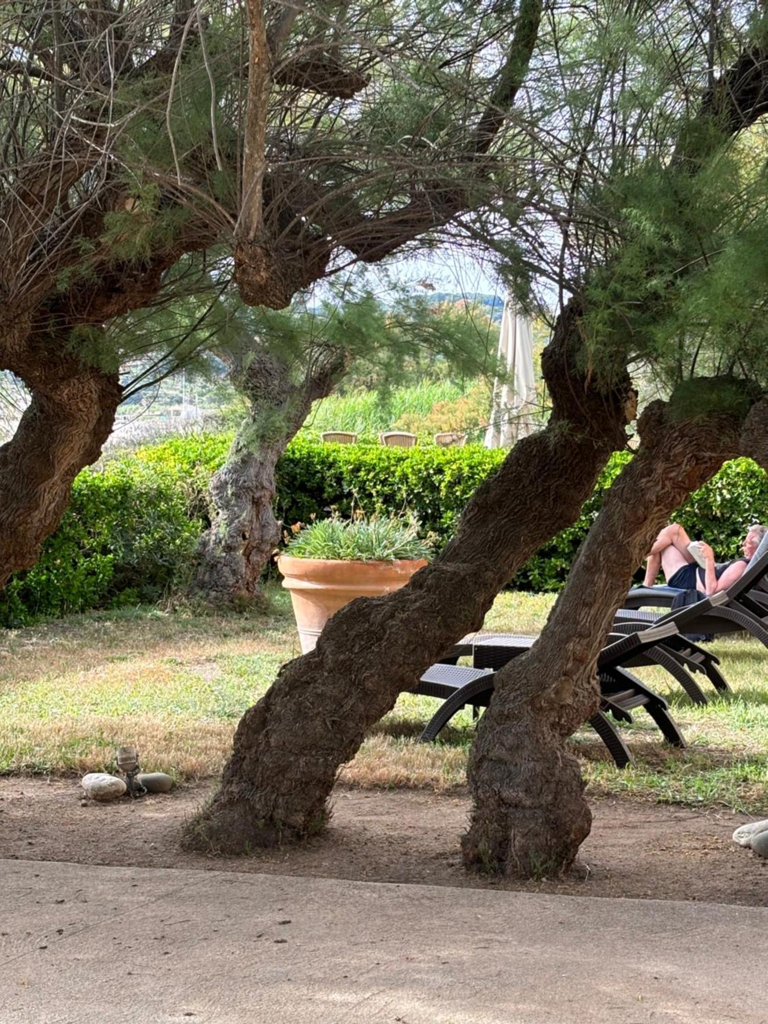 Hotel Thalassa Cargèse Εξωτερικό φωτογραφία