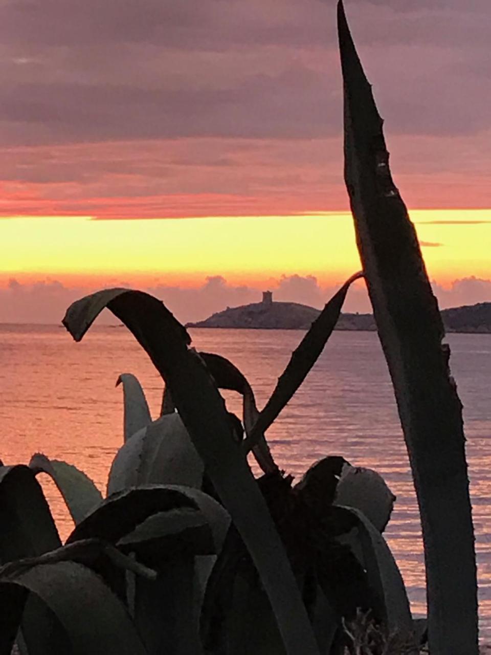 Hotel Thalassa Cargèse Εξωτερικό φωτογραφία