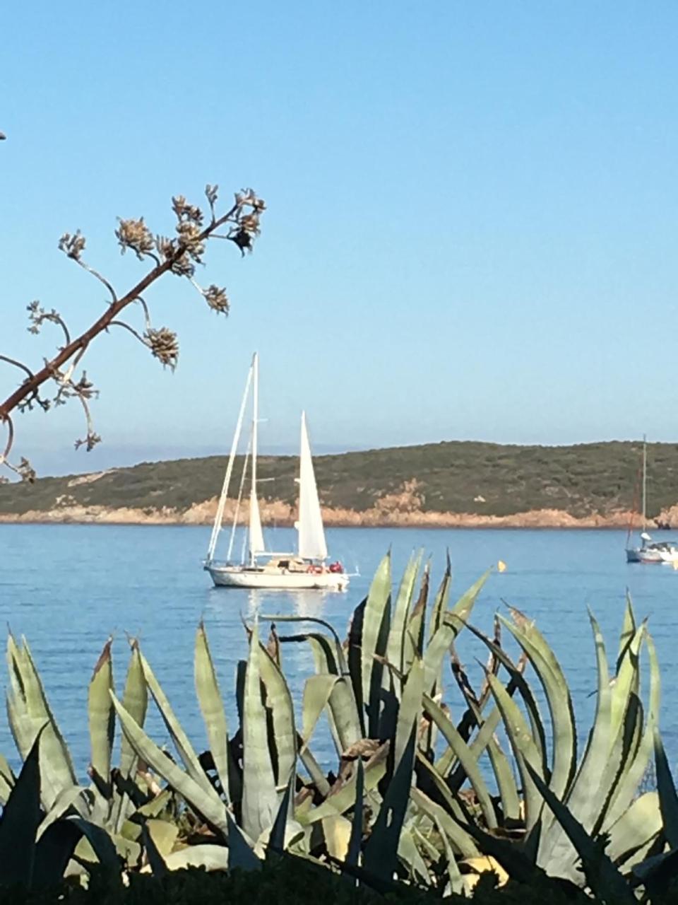 Hotel Thalassa Cargèse Εξωτερικό φωτογραφία
