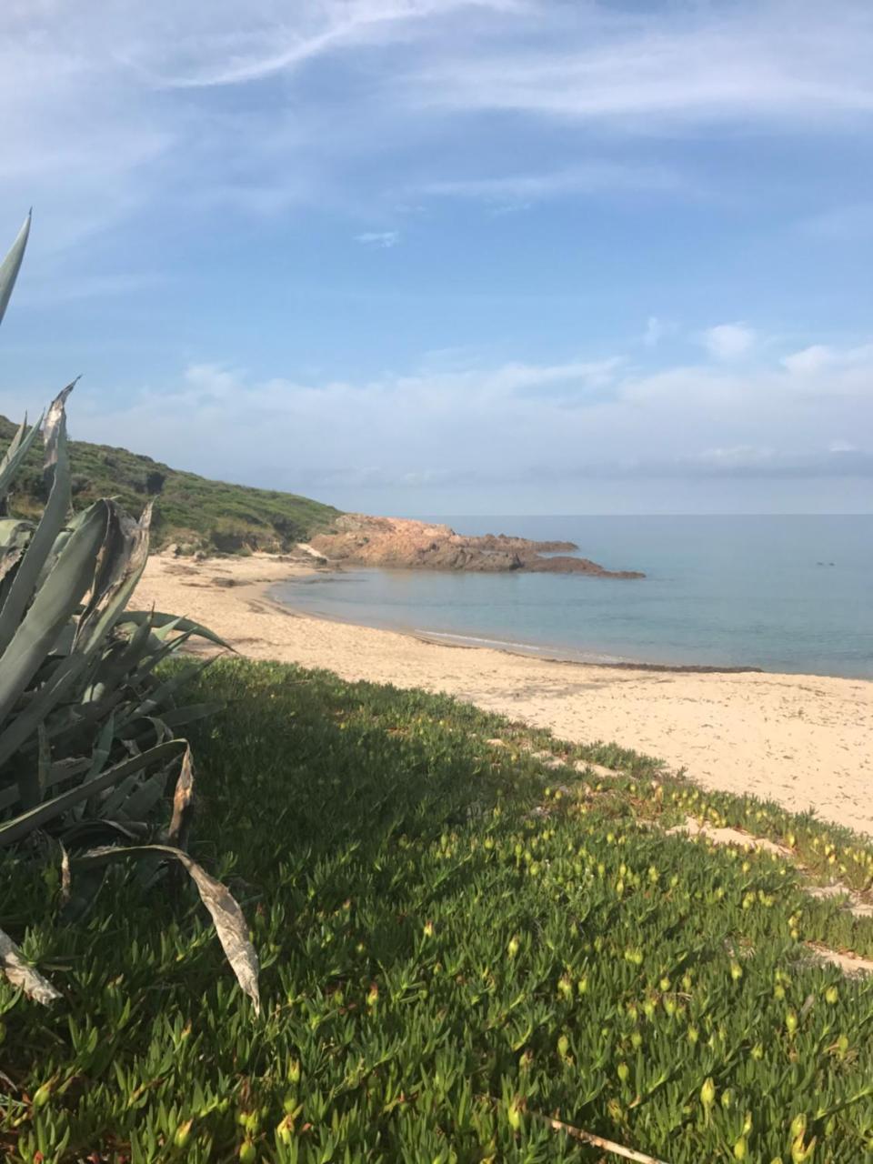 Hotel Thalassa Cargèse Εξωτερικό φωτογραφία