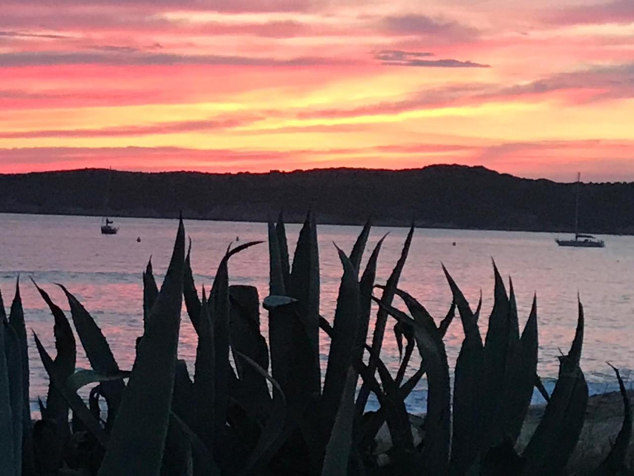 Hotel Thalassa Cargèse Εξωτερικό φωτογραφία