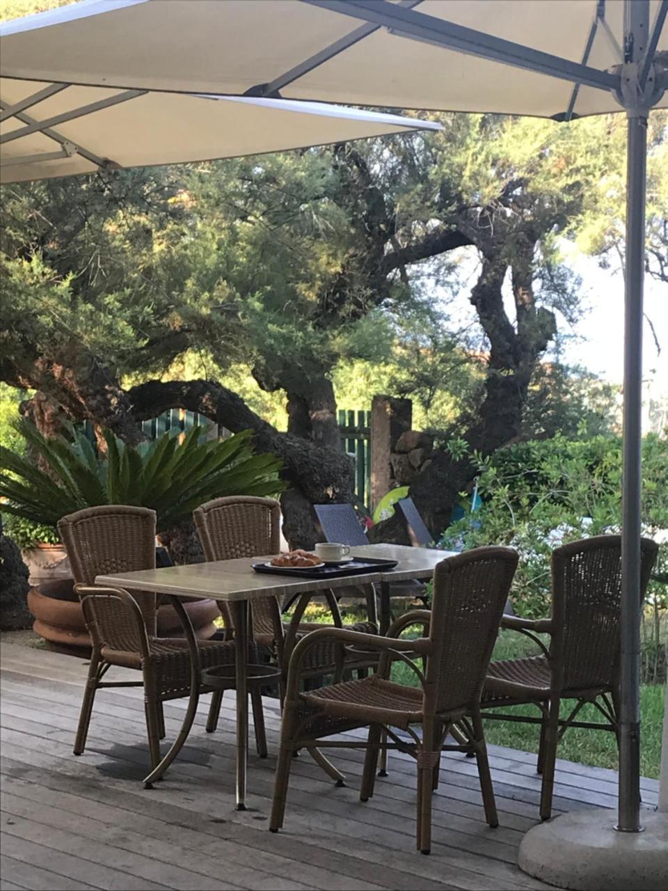 Hotel Thalassa Cargèse Εξωτερικό φωτογραφία