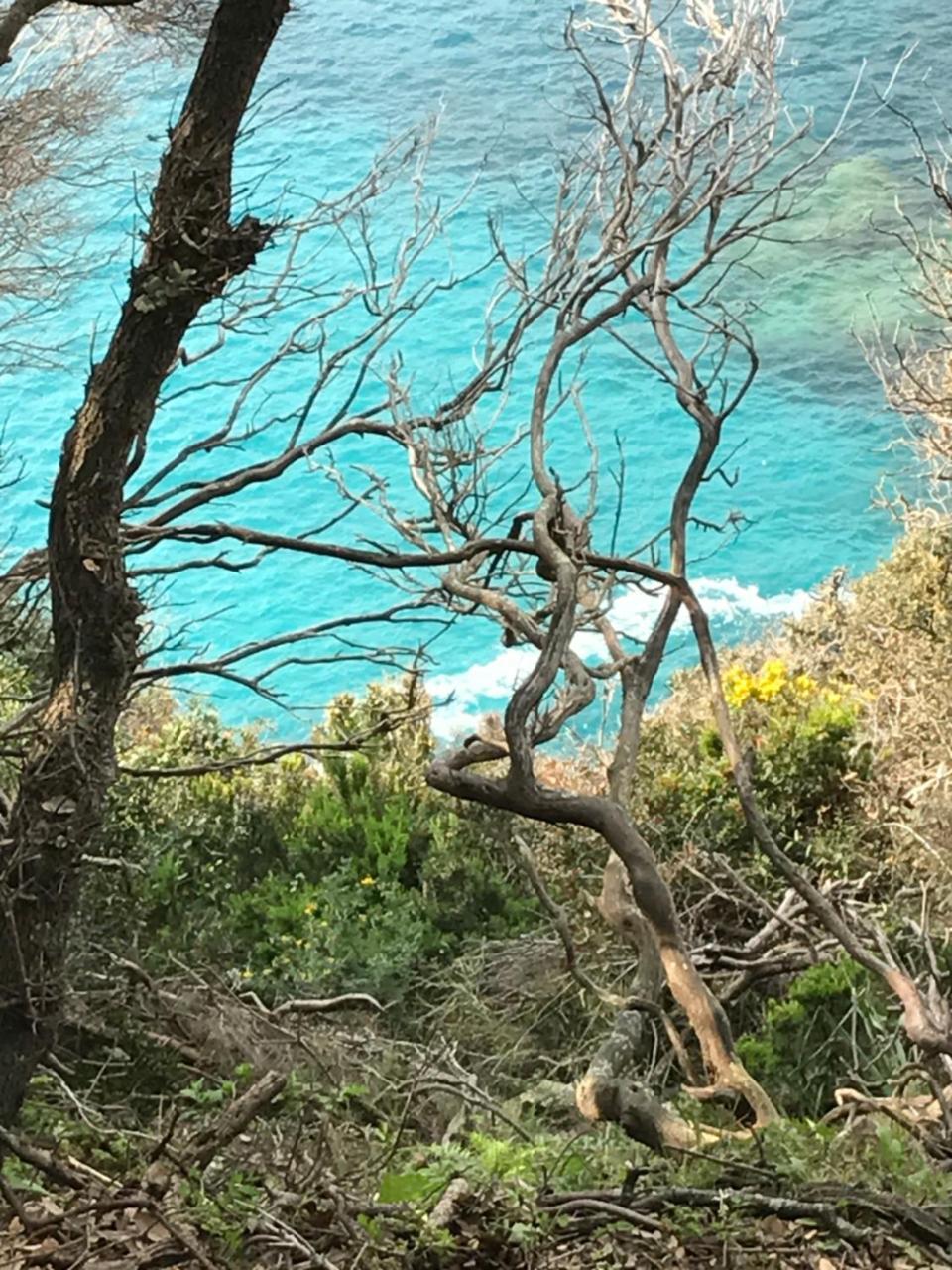 Hotel Thalassa Cargèse Εξωτερικό φωτογραφία